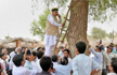 Union minister climbs tree to enable signal for phone call